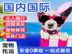 天水麦积山空运地址国际宠物托运 【国
